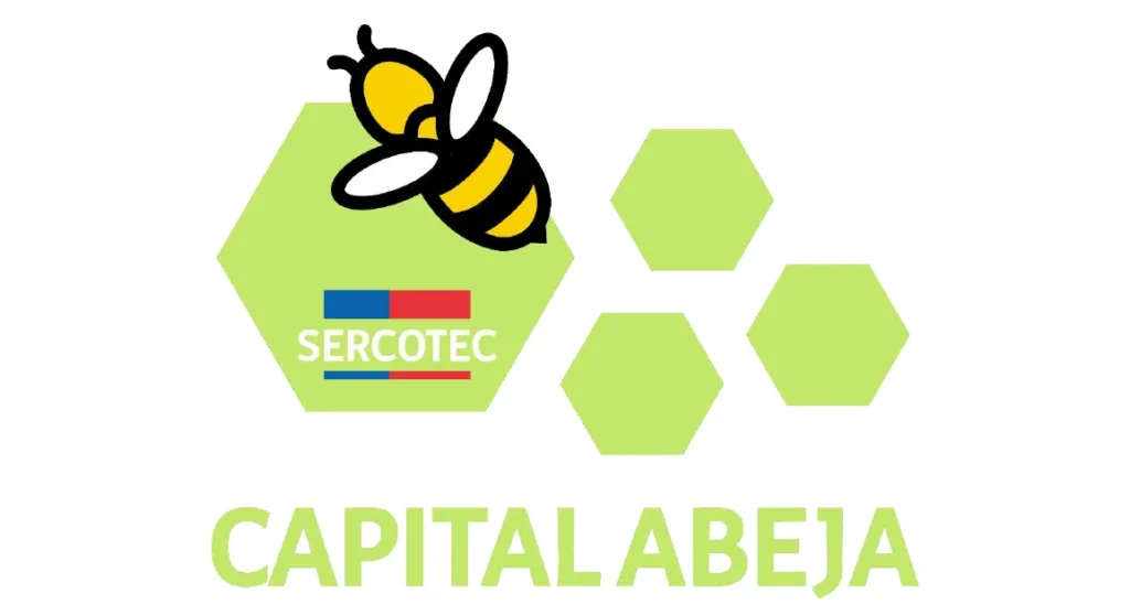 Requisitos del Capital Abeja Sercotec