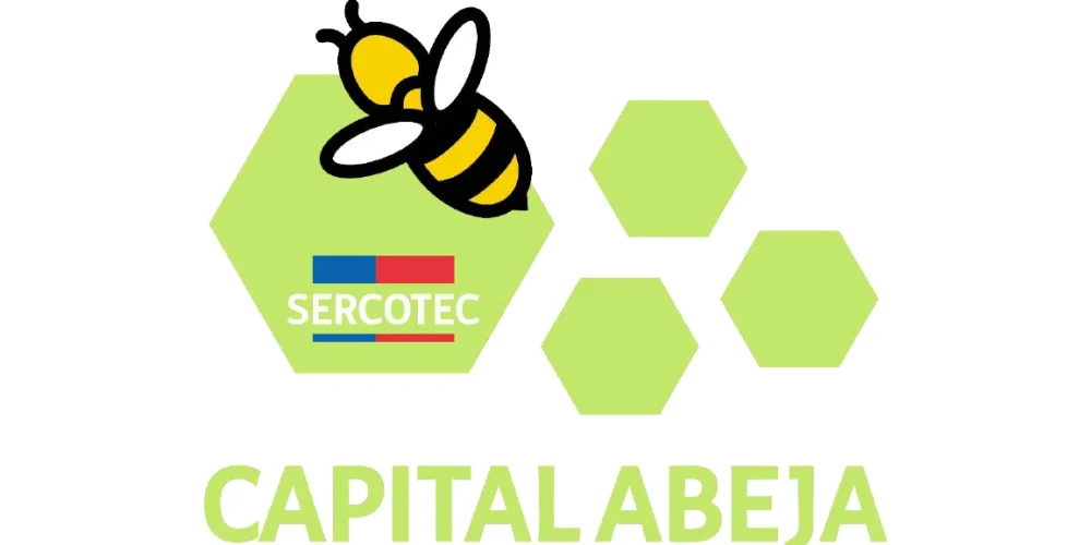 Requisitos del Capital Abeja Sercotec